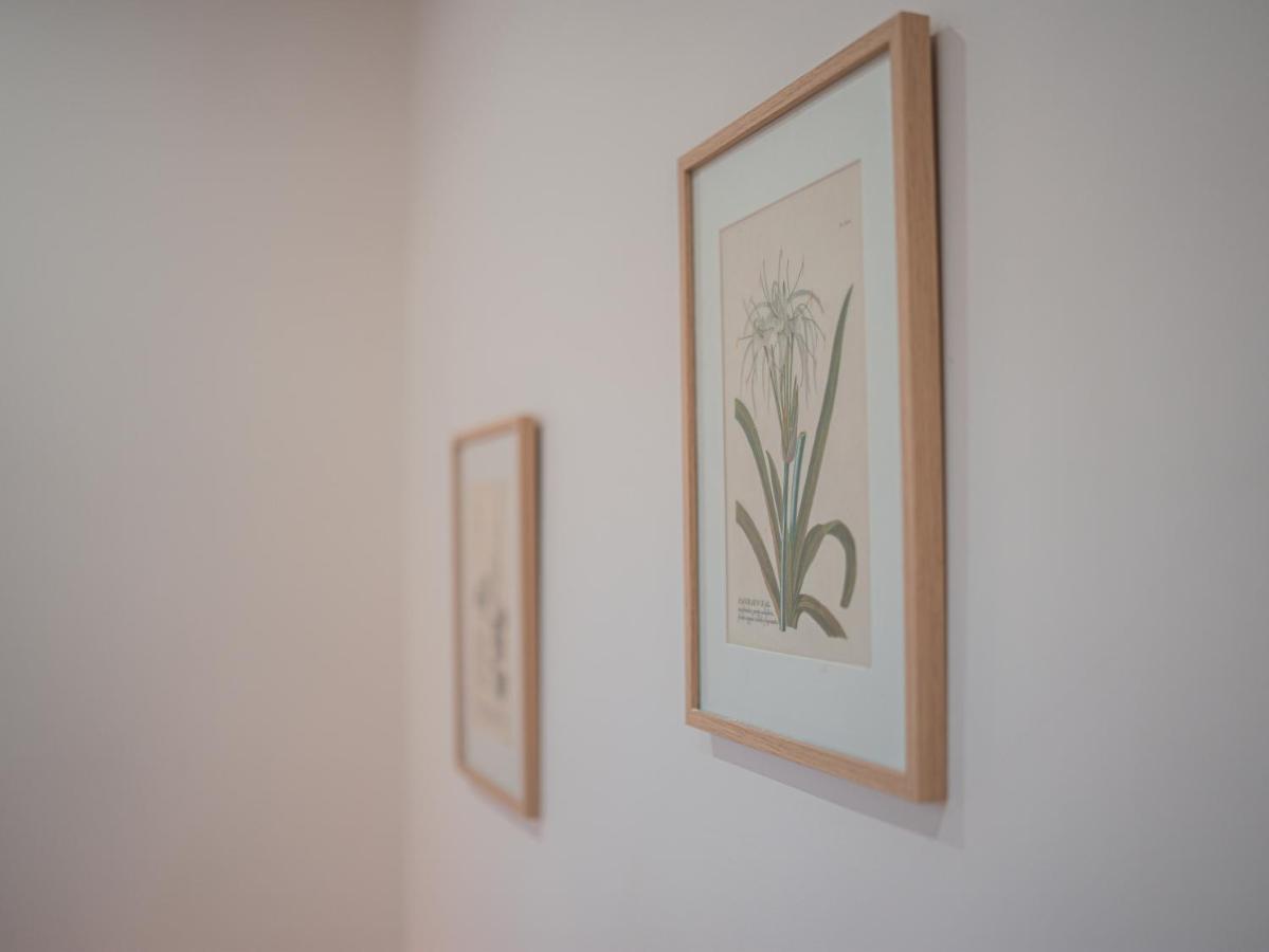 L'Annexe Clermont Ferrand Apartment Bagian luar foto